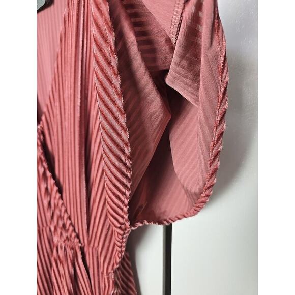 Sunday in Brooklyn Anthro Pink Rose Plisse Velvet Romantic Feminine Dress Medium - Picture 6 of 13